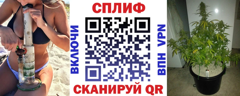 Бошки Шишки VHQ  Купить  Феодосия 